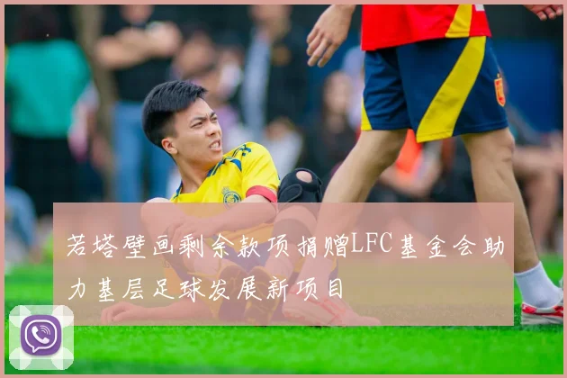 若塔壁画剩余款项捐赠LFC基金会助力基层足球发展新项目