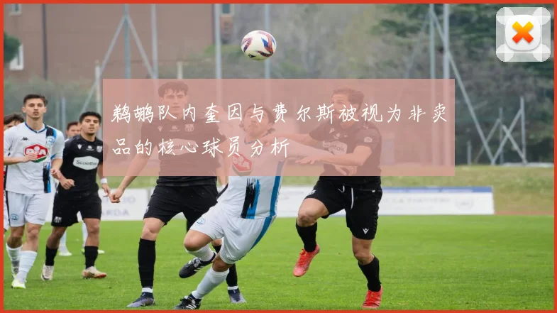 鹈鹕队内奎因与费尔斯被视为非卖品的核心球员分析