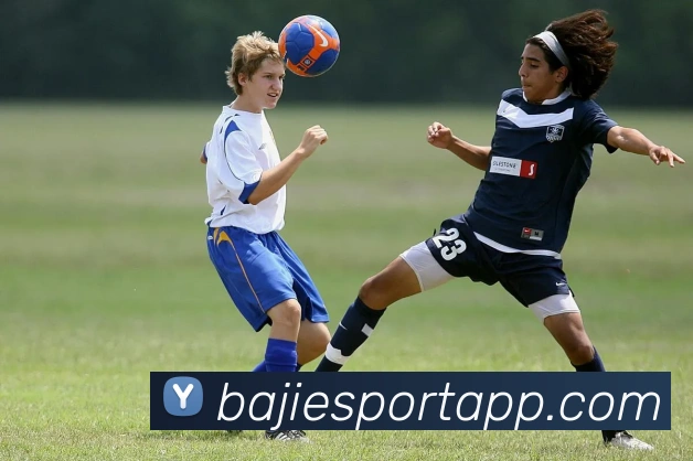 八戒体育平台生态图